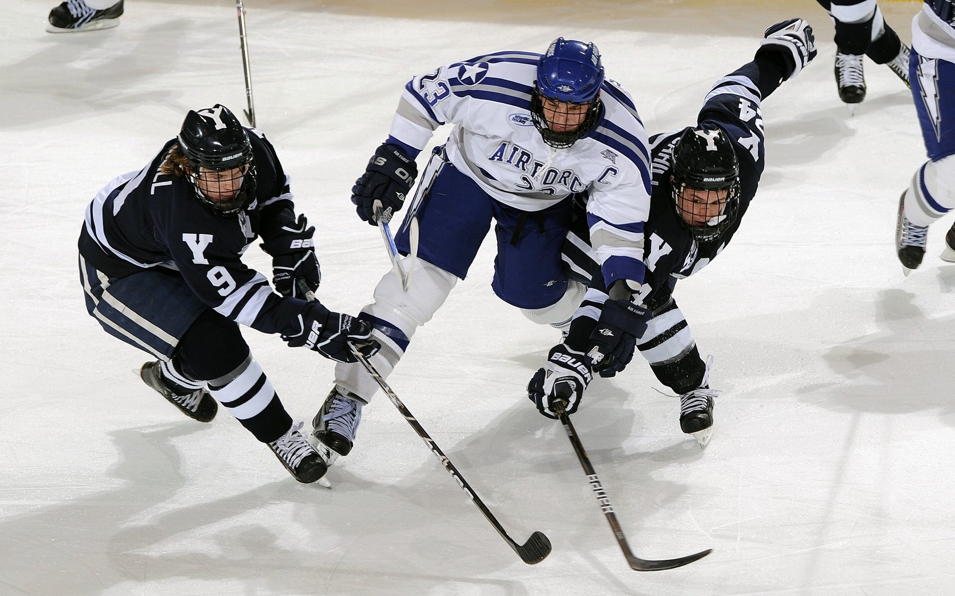 开云体育平台-外援引入新政策，本土球员迎来黄金时代，外援选手
